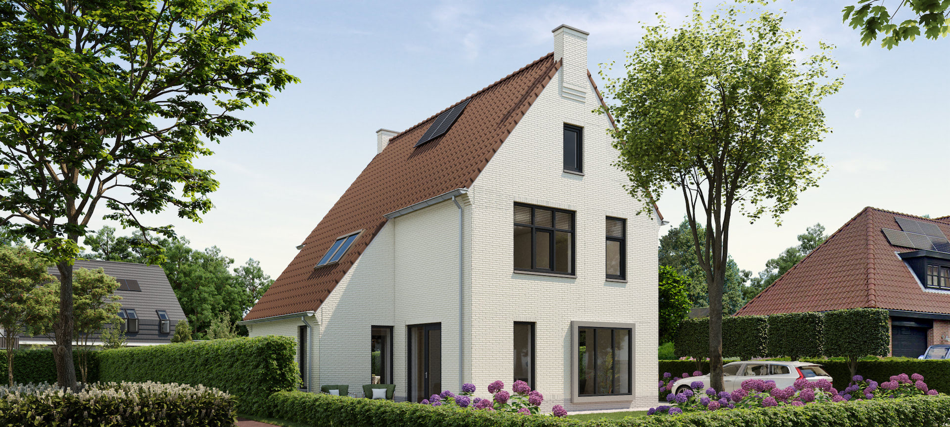 Bnr1